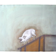 “From Where the Next Influenza Pandemic?”: When he learned that pigs can be a source of new strains of influenza, Mexican artist Francisco Toledo was motivated to create this painting. The pig reminds him of his childhood, when he used to visit an abattoir where his grandfather slaughtered pigs for a living.